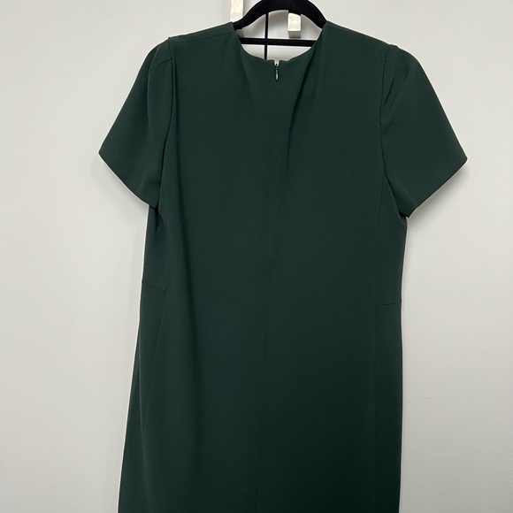 Babaton Dark Green Straight Line Dress with Short Sleeves - Picture 6 of 9